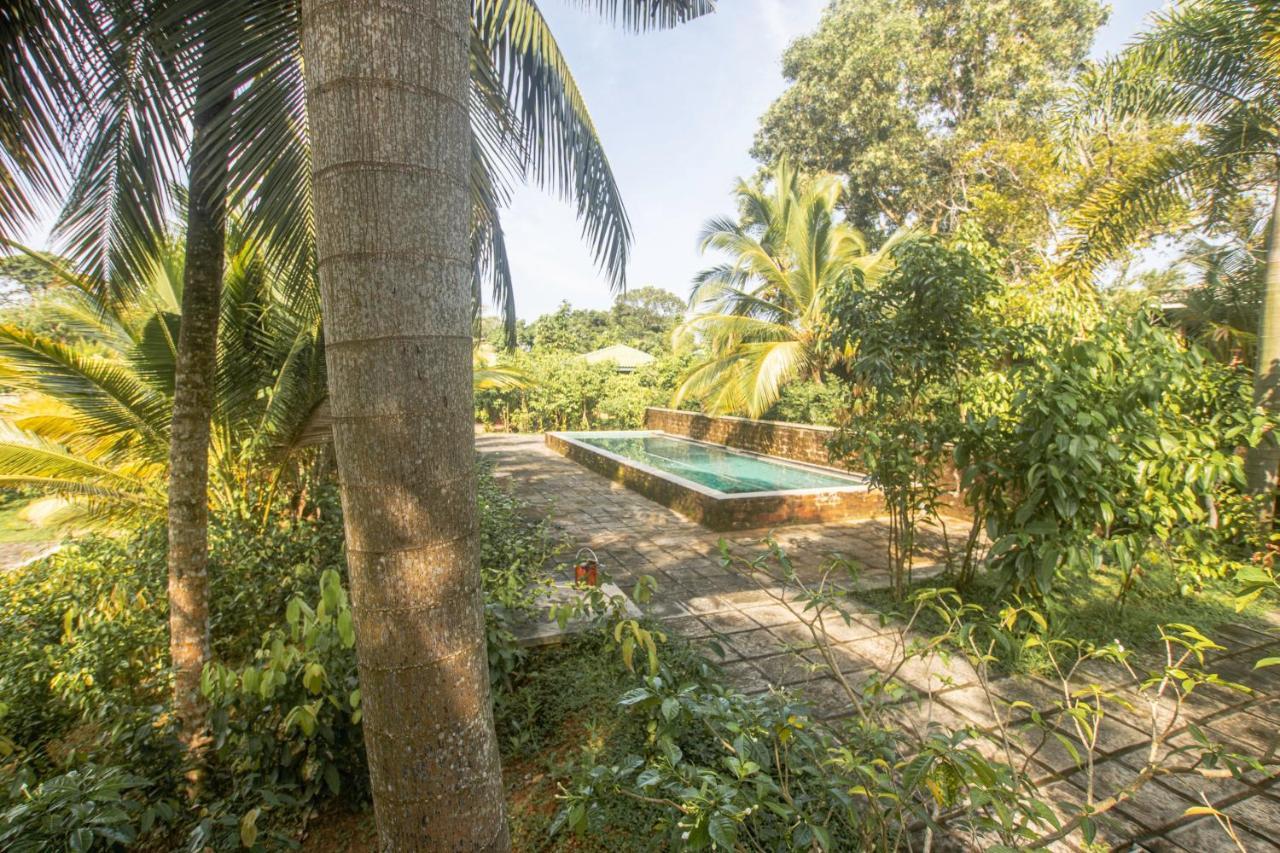 The Coastal Village Cabanas Ahangama Extérieur photo